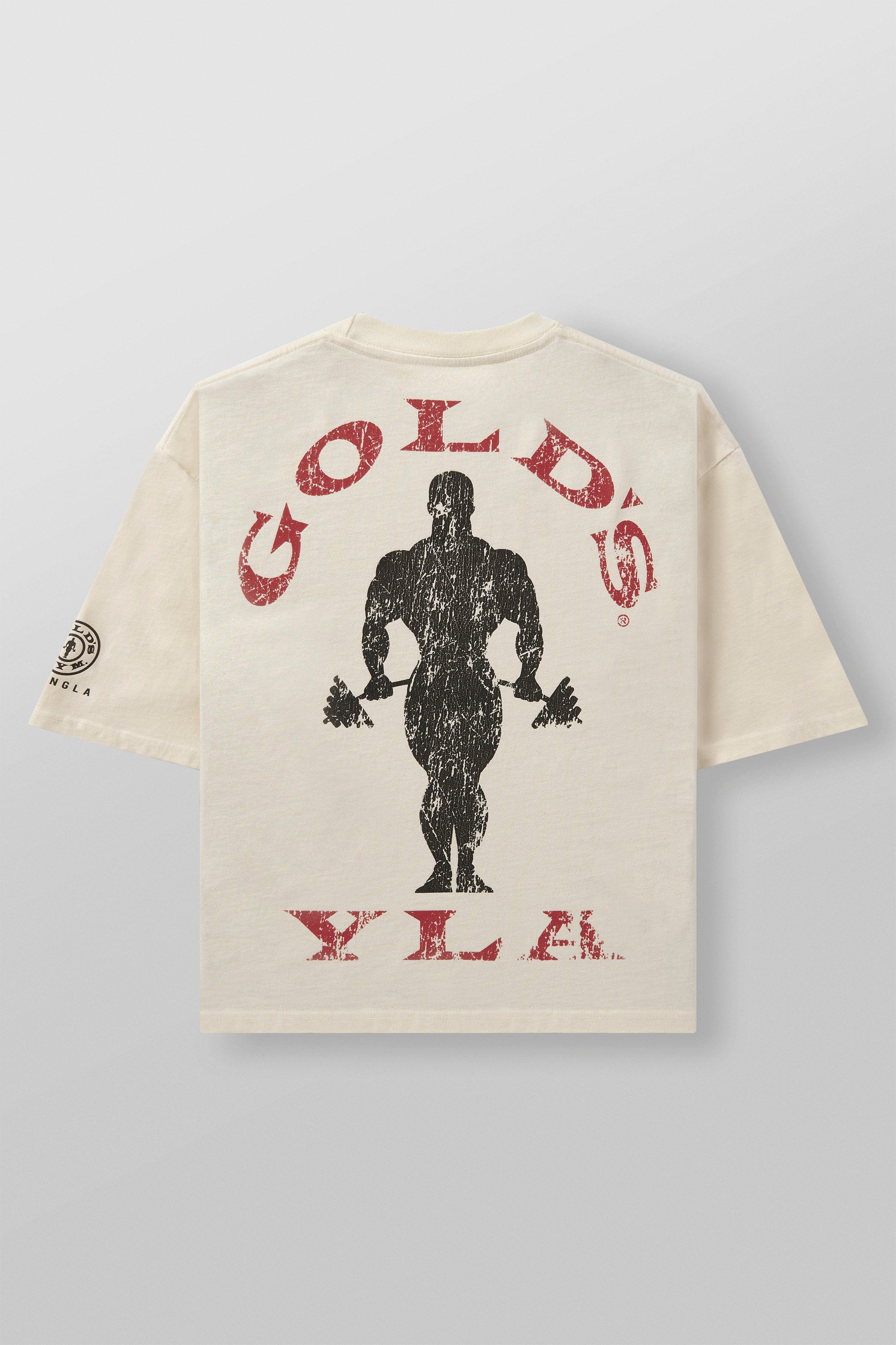 Front view of Golds Gym tee with boxy silhouette styled for streetwear