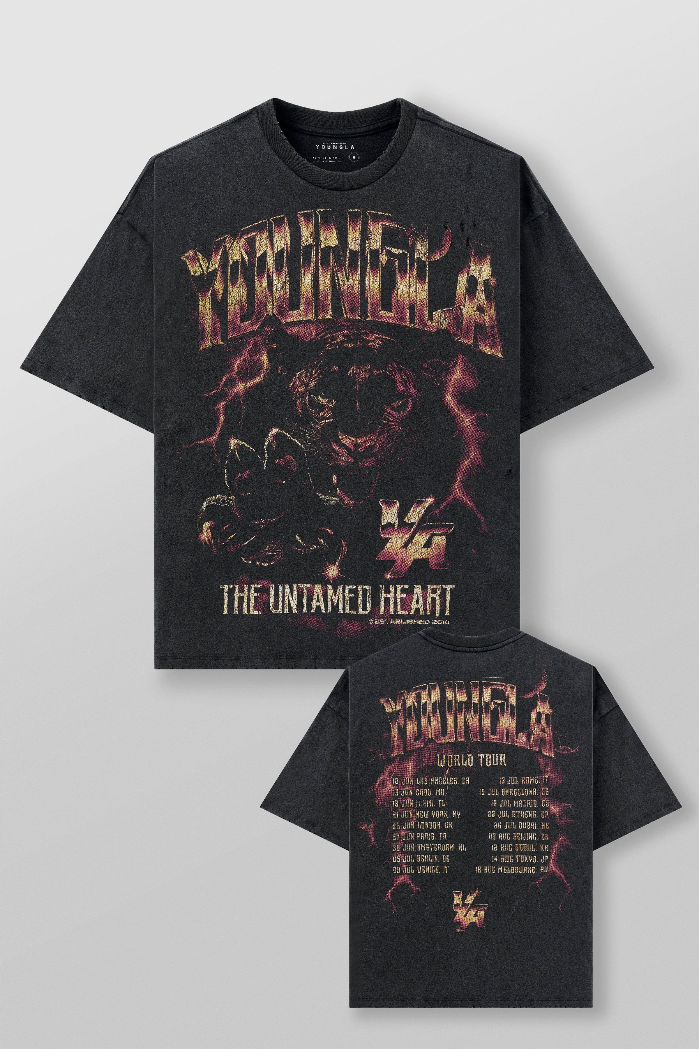 Back view of vintage rock concert tee featuring bold tour-inspired design