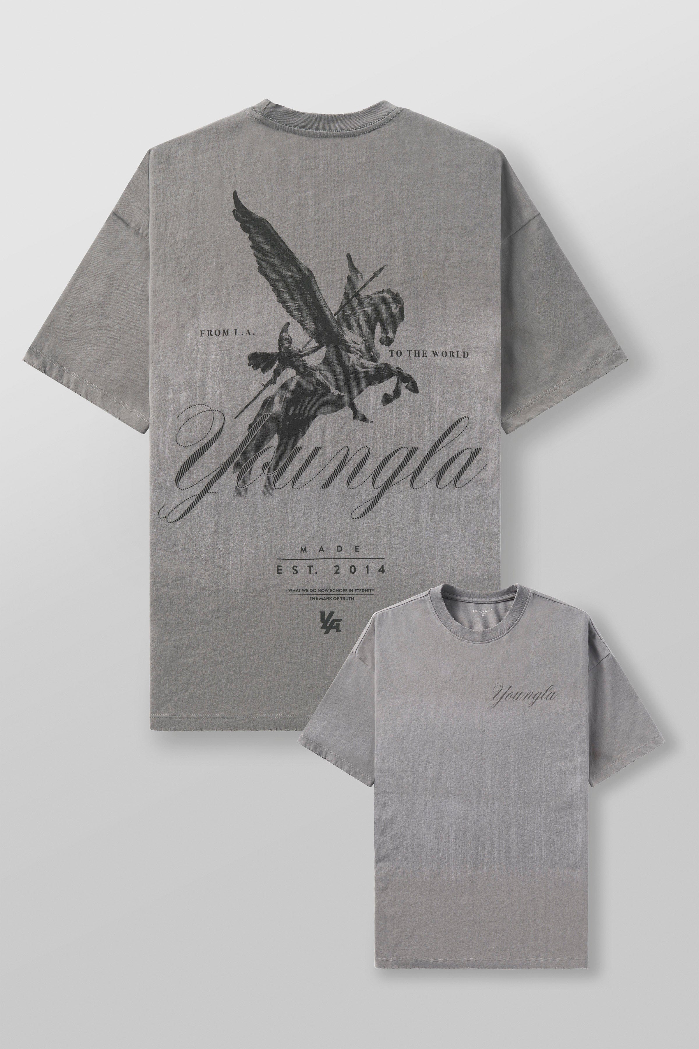 Front view of Spartan Comfort Colors graphic tee in casual wear.